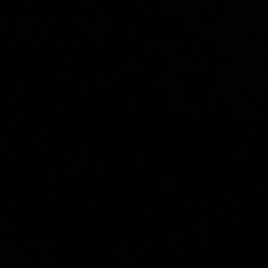 Meet your Posher, Mia